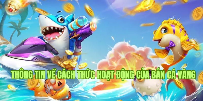 Người tham gia cần phải quan sát mục tiêu thật chính xác