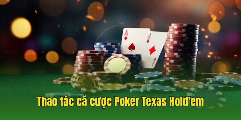 Các thao tác cược thực hiện theo hướng dẫn chơi Poker Texas Hold'em