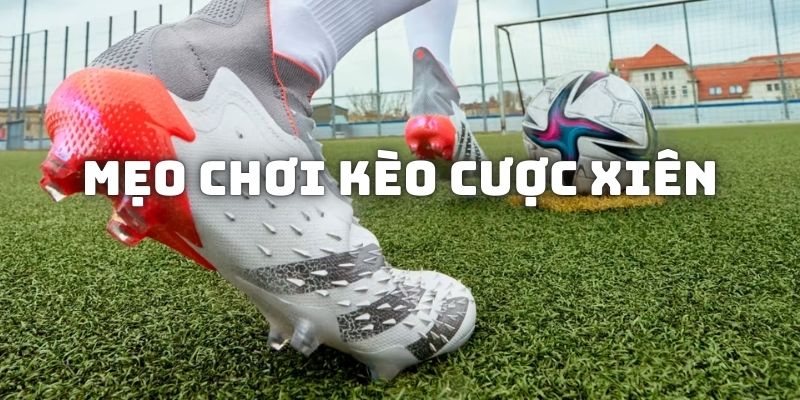 Chia sẻ mẹo đánh kèo cược xiên bóng đá hiệu quả cho hội viên